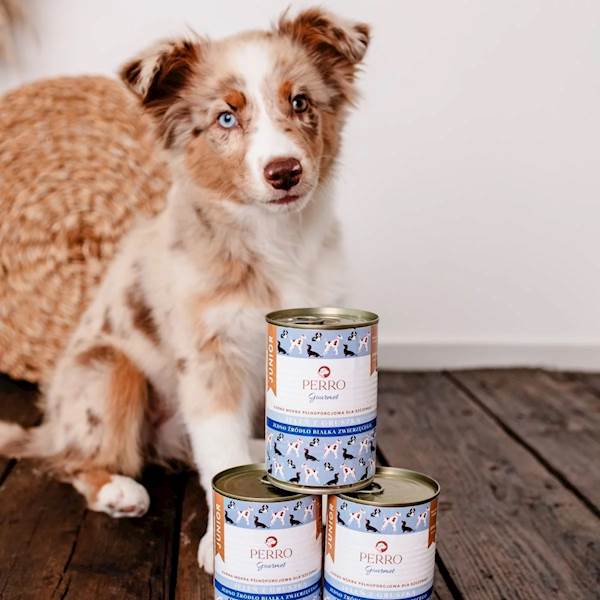 PERRO GOURMET JELEŃ Z GRUSZKĄ JUNIOR (DLA SZCZENIĄT) 400G