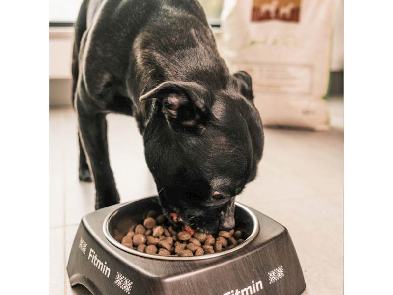 FITMIN DOG PROGRAM MEDIUM&MAXI LAMB&RICE 12KG