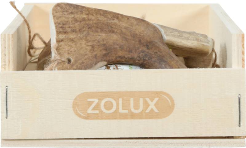 ZOLUX POROŻE DANIELA EASY S