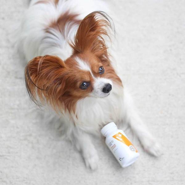 VET EXPERT IMMUNE SYSTEM 30KAPS