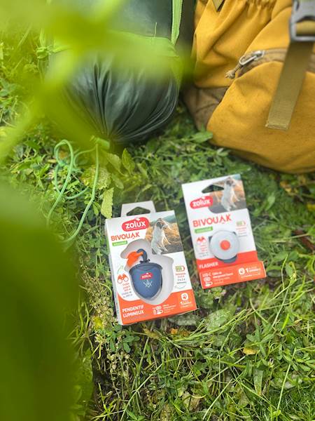 ZOLUX BIVOUAK ŚWIECĄCA ZAWIESZKA DO OBROŻY DLA PSA NIEBIESKA NA USB