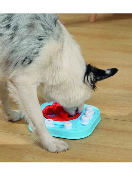 M-PETS BRAINY GAMES GALILEO (ZABAWKA INTERAKTYWNA POZIOM ŁATWY)