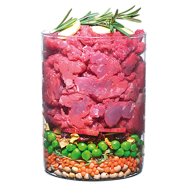 CARNILOVE DOG TRUE FRESH BEEF 1,4KG