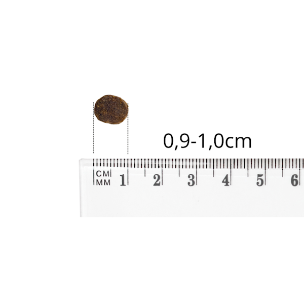 BALTICA NUTRACEUTIC LAMB&RICE XS/S 1KG