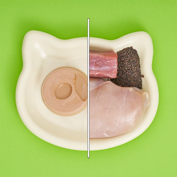 UNIQ PETS DELICIOUS PATE PASZTECIK WOŁOWY 30G