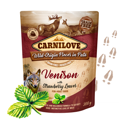 CARNILOVE DOG POUCH VENISON&STRAWBERRY 300G