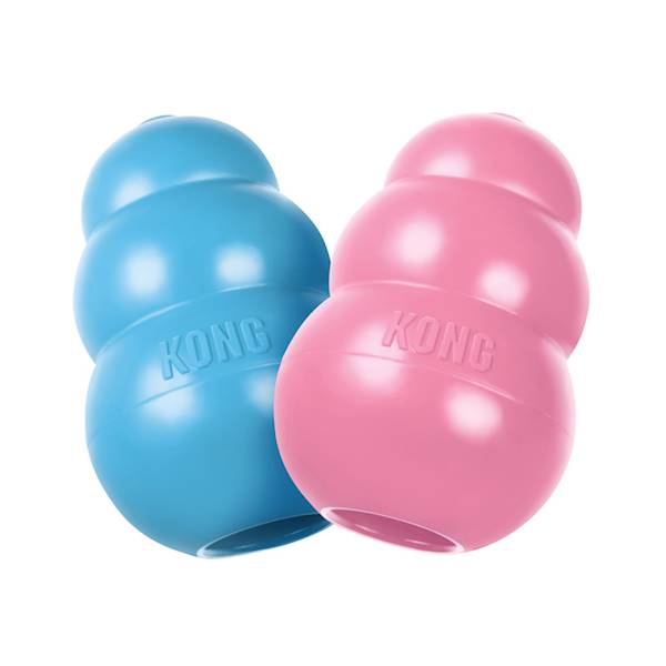 KONG DOG PUPPY M