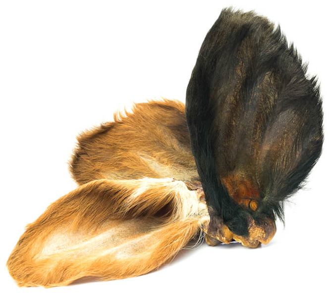 PETMEX UCHO WOŁOWE Z FUTREM 1SZT