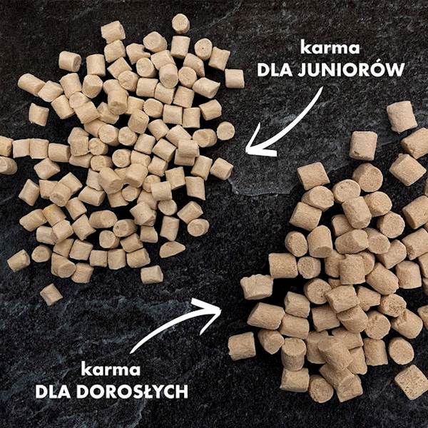 DR MALOU KARMA LIOFILIZOWANA DLA SZCZENIĄT KACZKA Z MLEKIEM KOZIM I ŻÓŁTKIEM 500G