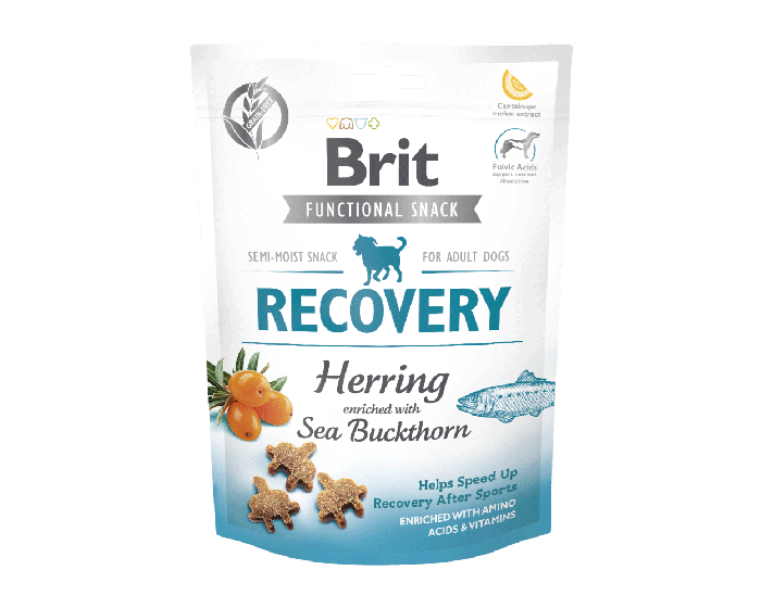 BRIT CARE DOG FUNCTIONAL RECOVERY HERRING 150G