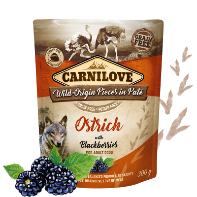 CARNILOVE DOG POUCH OSTRICH&BLACKBERRIES 300G