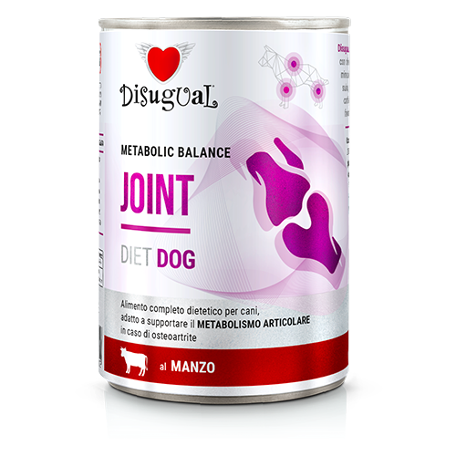 DISUGUAL DOG VET JOINT WOŁOWINA 400G