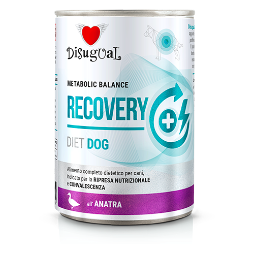 DISUGUAL DOG VET RECOVERY KACZKA 400G