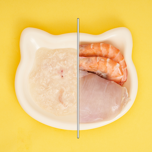 UNIQ PETS YUMMY SOUP ROSÓŁ Z KURCZAKA I KRYLA 30G