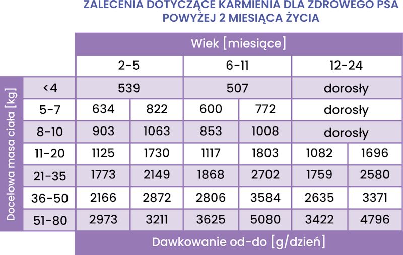 PERRO GOURMET KRÓLIK Z DYNIĄ JUNIOR (DLA SZCZENIĄT) 400G