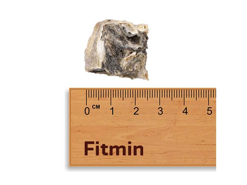 FITMIN DOG FOR LIFE COD SKIN CUBES 100G