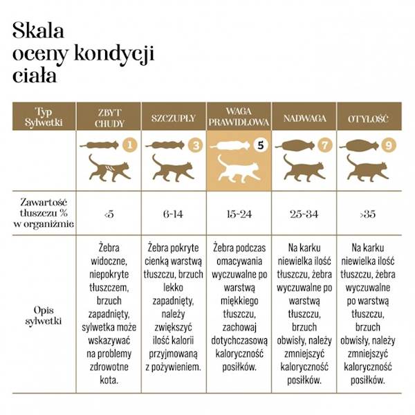 DR MALOU KARMA LIOFILIZOWANA DLA KOCIĄT KURCZAK Z KOZIM MLEKIEM I ŻÓŁTKIEM 1KG