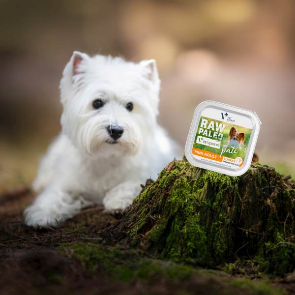 VET EXPERT RAW PALEO MINI ADULT TURKEY PATE 150G