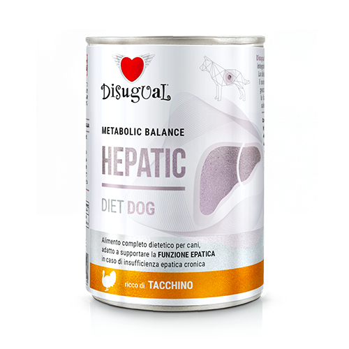 DISUGUAL DOG VET HEPATIC INDYK 400G