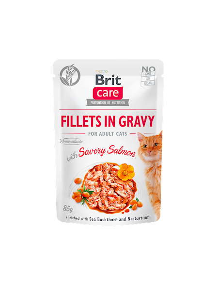 BRIT CARE CAT FG SAVORY SALMON 85G