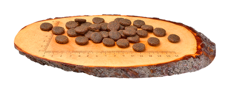 CARNILOVE DOG SALMON & TURKEY FOR LARGE BREED ADULT 12KG