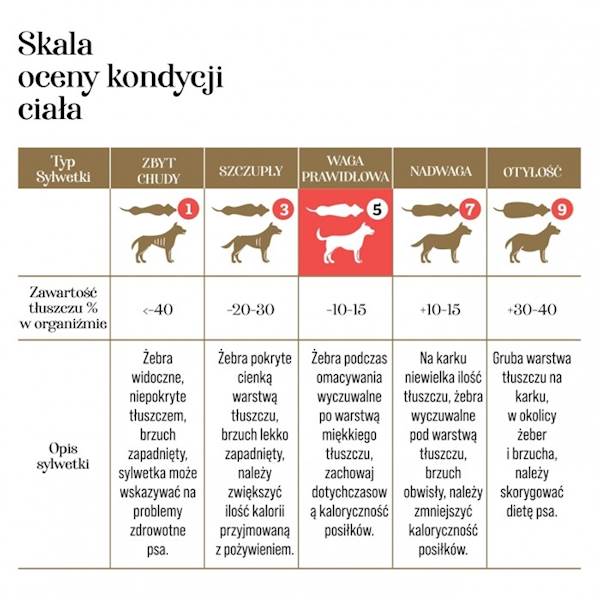 DR MALOU KARMA LIOFILIZOWANA DLA PSA KACZKA Z KRÓLIKIEM 1KG