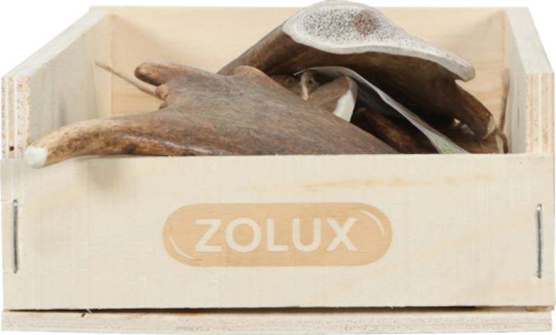 ZOLUX POROŻE DANIELA EASY L