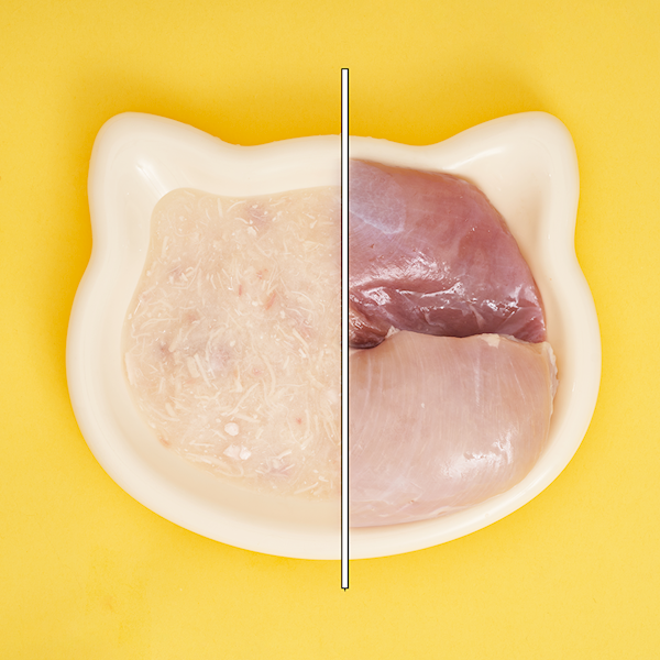 UNIQ PETS YUMMY SOUP ROSÓŁ Z KAWAŁKAMI KURCZAKA I MIĘSEM KACZKI 60G