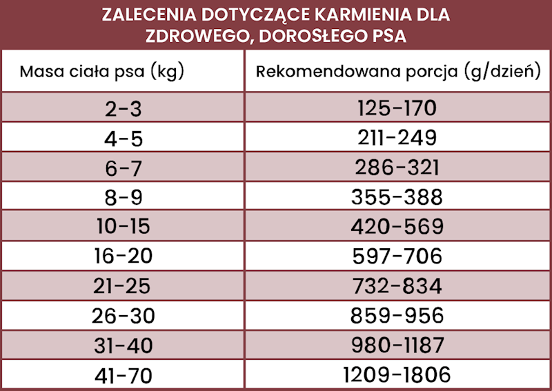 PERRO INDYK Z CUKINIĄ 400G