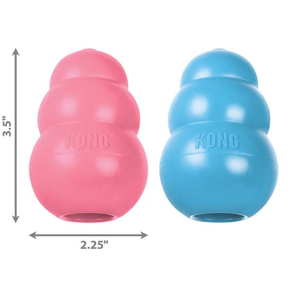 KONG DOG PUPPY M