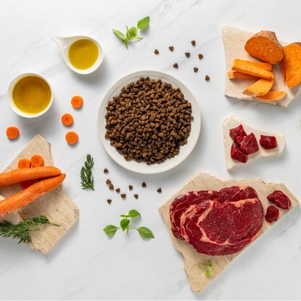 VET EXPERT RAW PALEO ULTRA ADULT MEDIUM&LARGE BEEF 10KG