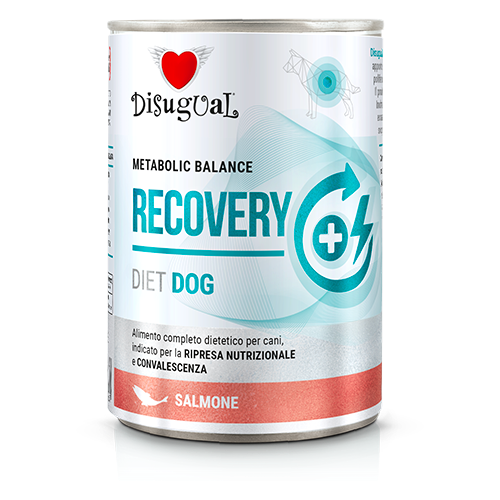 DISUGUAL DOG VET RECOVERY ŁOSOŚ 400G