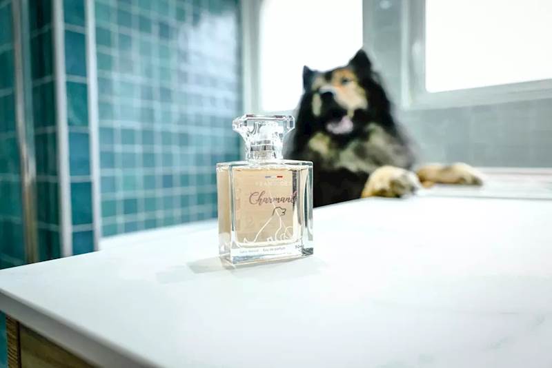 FRANCODEX PERFUMY CHARMANT DRZEWNE 50ML