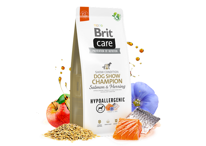 BRIT CARE DOG HYPOALLERGENIC DOG SHOW CHAMPION SALMON&HERRING 3KG