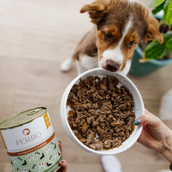 PERRO JAGNIĘCINA Z CUKINIĄ JUNIOR (DLA SZCZENIĄT) 400G