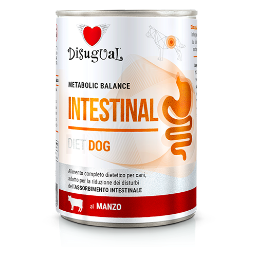 DISUGUAL DOG VET INTESTINAL WOŁOWINA 400G