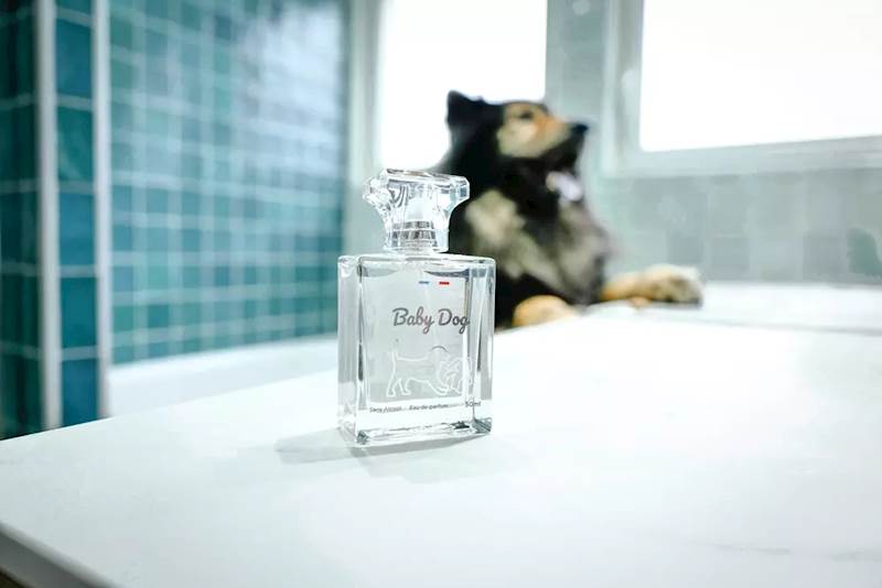FRANCODEX PERFUMY BABY DOG 50ML