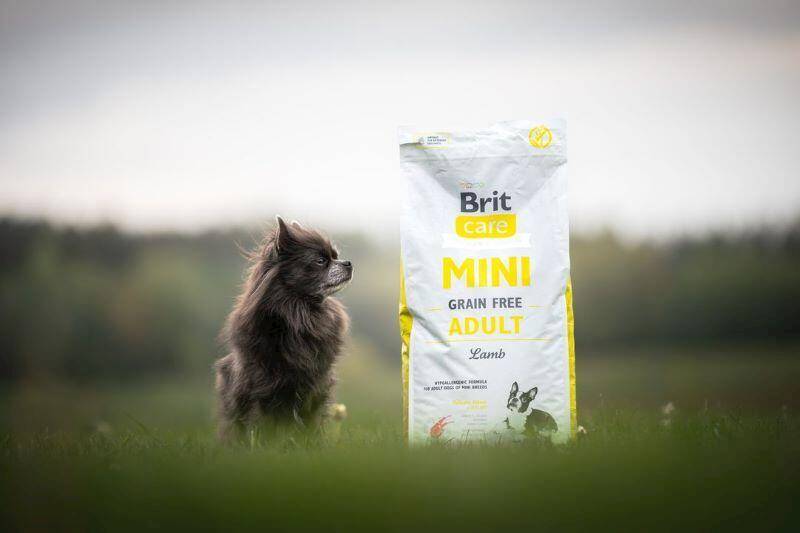 BRIT CARE DOG MINI HAIR&SKIN SALMON&HERRING 7KG