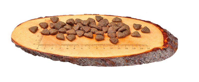 CARNILOVE DOG SALMON FOR ADULT 12KG