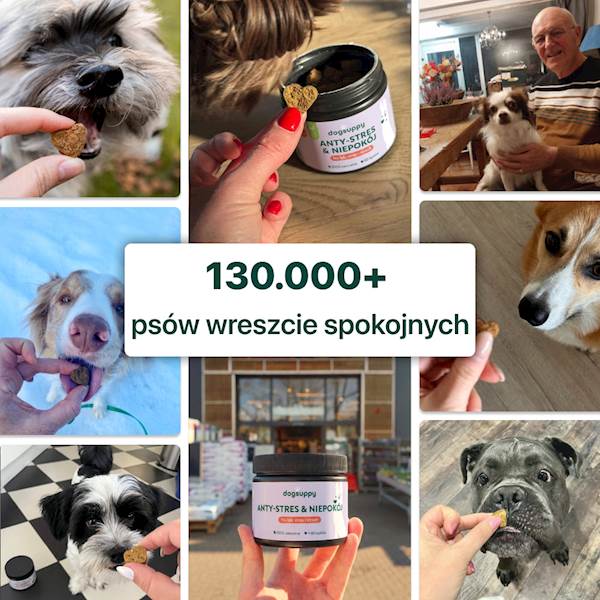 DOGSUPPY ANTYSTRES & ANTYLĘK 180G