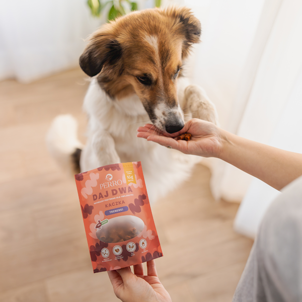 PERRO DAJ DWA TRENERKI Z KACZKĄ 85G 