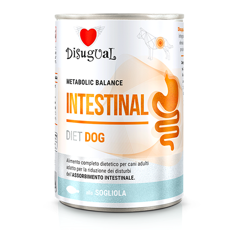DISUGUAL DOG VET INTESTINAL SOLA 400G