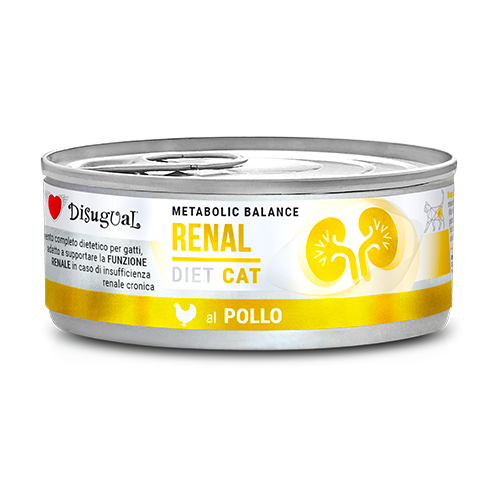 DISUGUAL CAT VET RENAL KURCZAK 85G