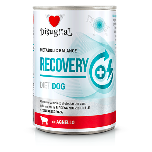 DISUGUAL DOG VET RECOVERY JAGNIĘCINA 400G
