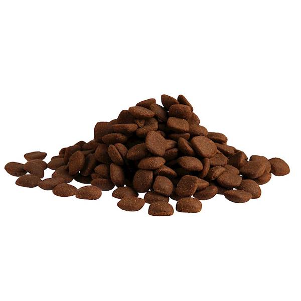 FITMIN DOG FOR LIFE ADULT LARGE BREED 12KG