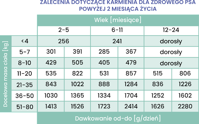 PERRO GOURMET KONINA Z DYNIĄ DLA SZCZENIĄT 400G
