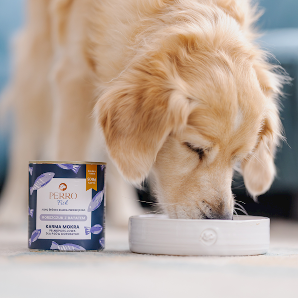 PERRO FISH MONOBIAŁKOWA MORSZCZUK Z BATATEM 400G