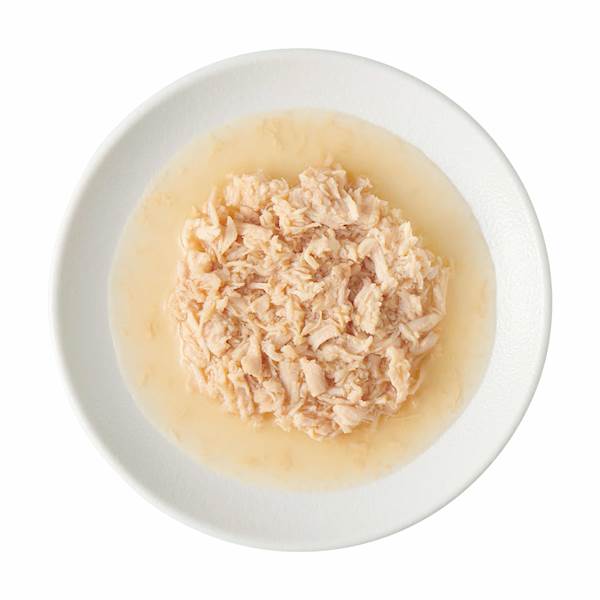 JOHN DOG FOR TASTY BROTH (ZUPA DLA KOTA I PSA) Z INDYKIEM 140G