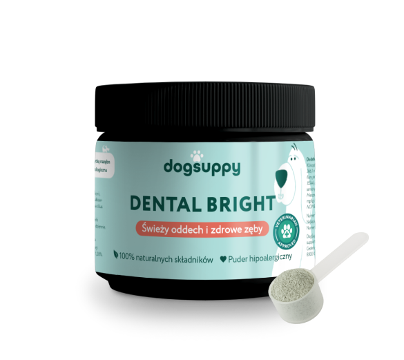 DOGSUPPY DENTAL BRIGHT 90G