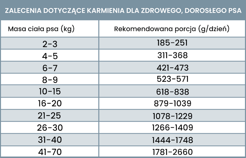 PERRO GOURMET KOZA Z BATATAMI 400G